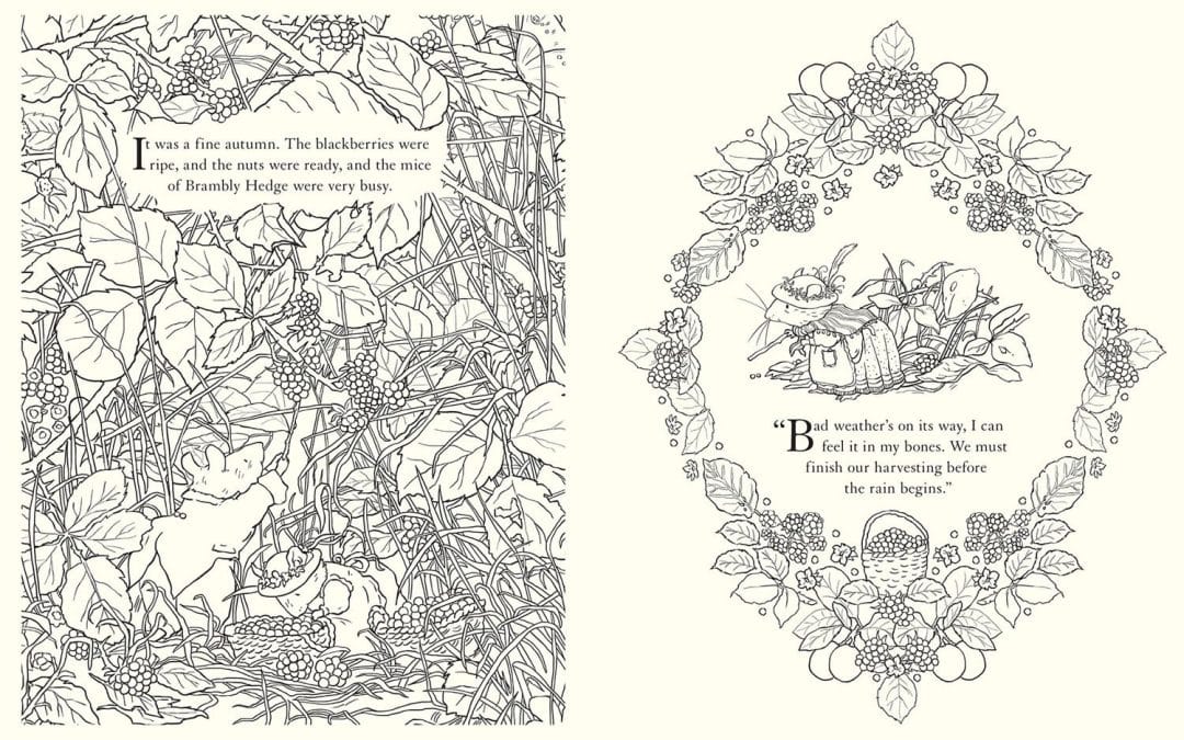 New Brambly Hedge Colouring Book