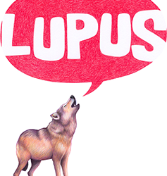 Brambly Hedge joins up with Lupus films